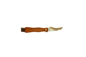 Praktisches Pilzklappmesser mit integrierter Bürste. Ideal zum Schneiden und Reinigen von Pilzen direkt beim Sammeln im Wald.